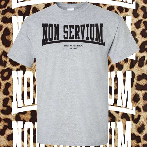 Non Servium